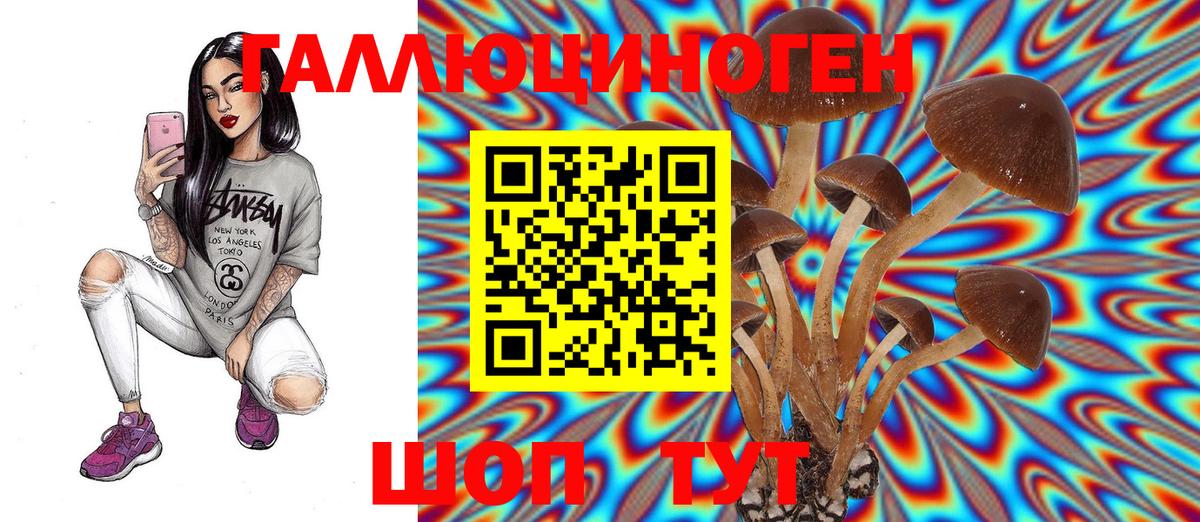 Галлюциногенные грибы Psilocybe  Вход с VPN  Буйнакск 